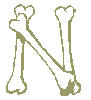 Bones N.gif (1520 bytes)