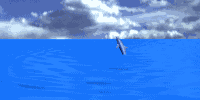 dolphin-3d.gif (47094 bytes)