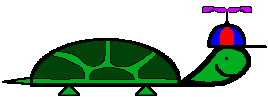 Turtle.jpg (6100 bytes)